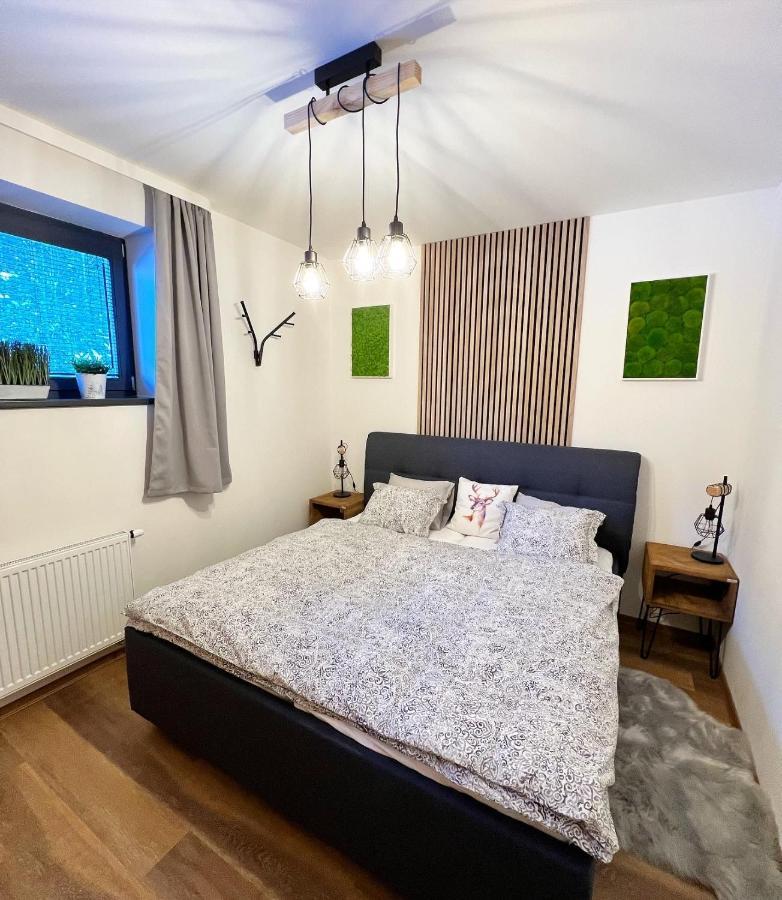 U Jelena Harrachov - Rodinny Apartman U Lesa S Garazi Exteriér fotografie