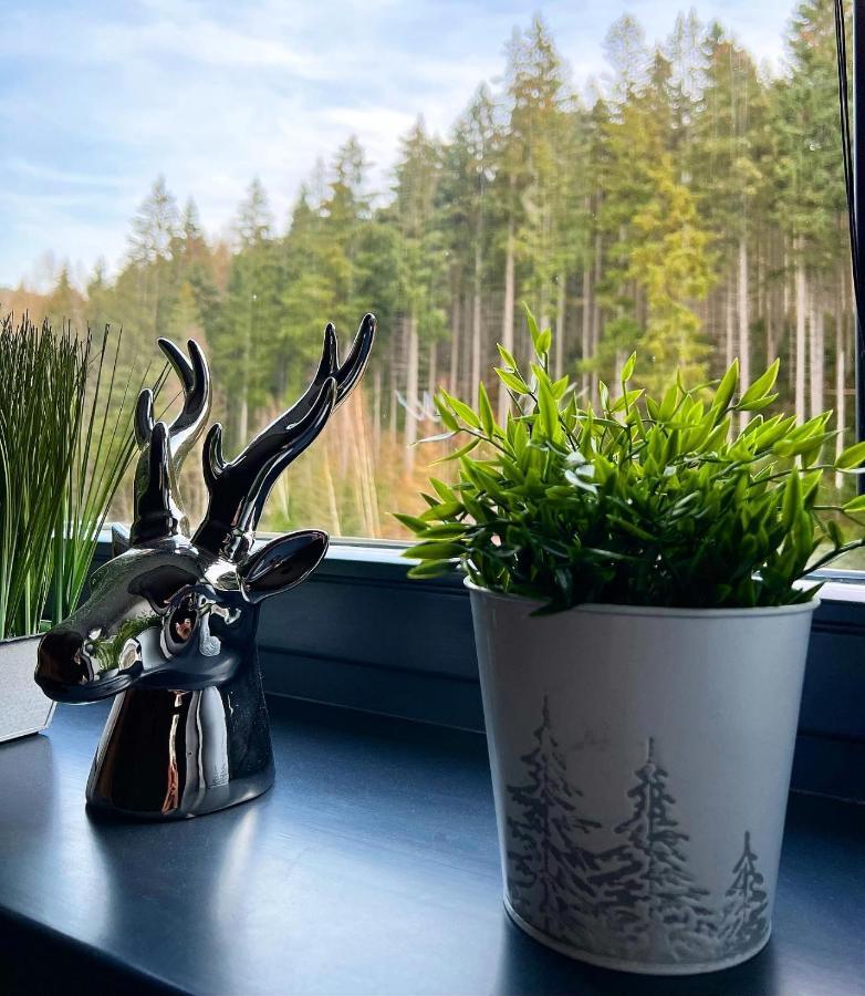 U Jelena Harrachov - Rodinny Apartman U Lesa S Garazi Exteriér fotografie